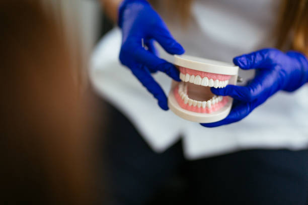  Holiday Heights, NJ Dental Services Pros
